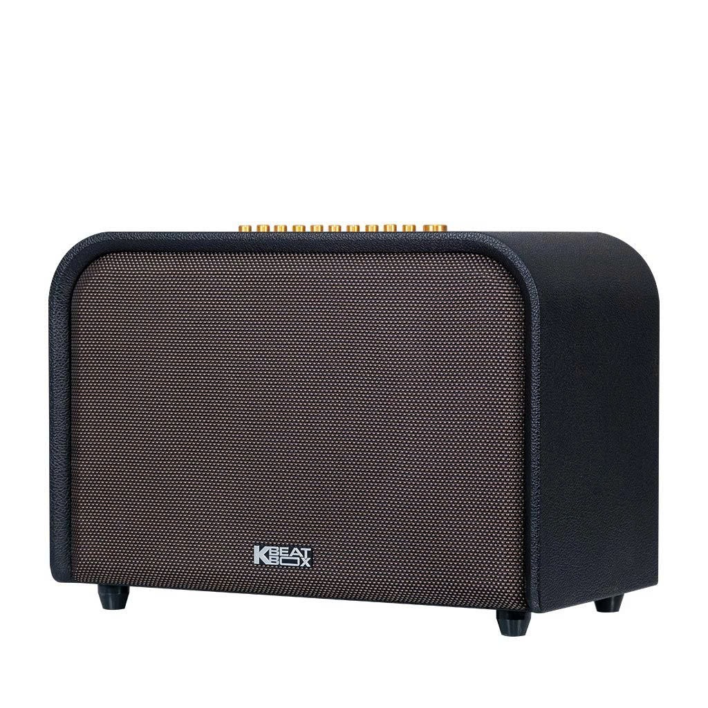 Loa Karaoke ACNOS 220W ACOUSTIC 3